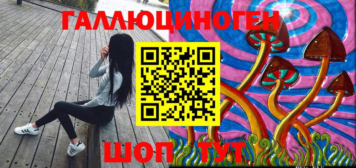 Псилоцибиновые грибы Psilocybine cubensis  Псилоцибиновые грибы мицелий  Вход с VPN  Кулебаки 